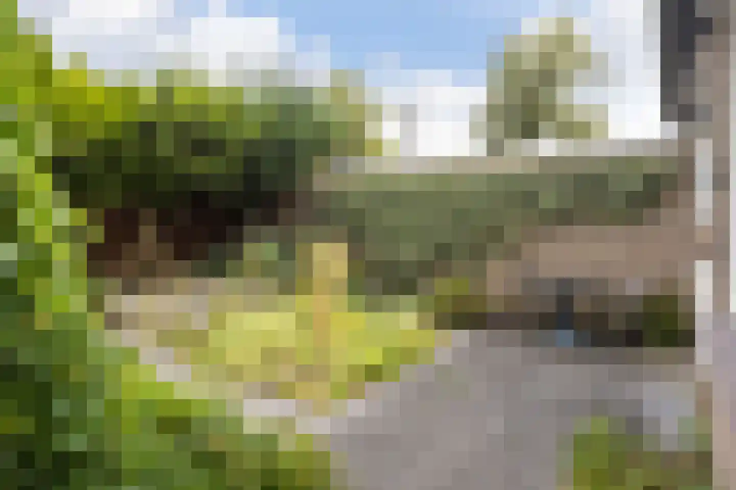 van der Wijckstraat 57 Raalte thumbnail 26