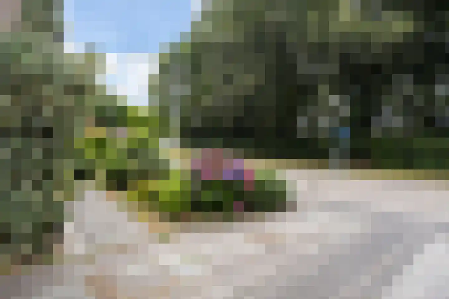 van der Wijckstraat 57 Raalte thumbnail 27