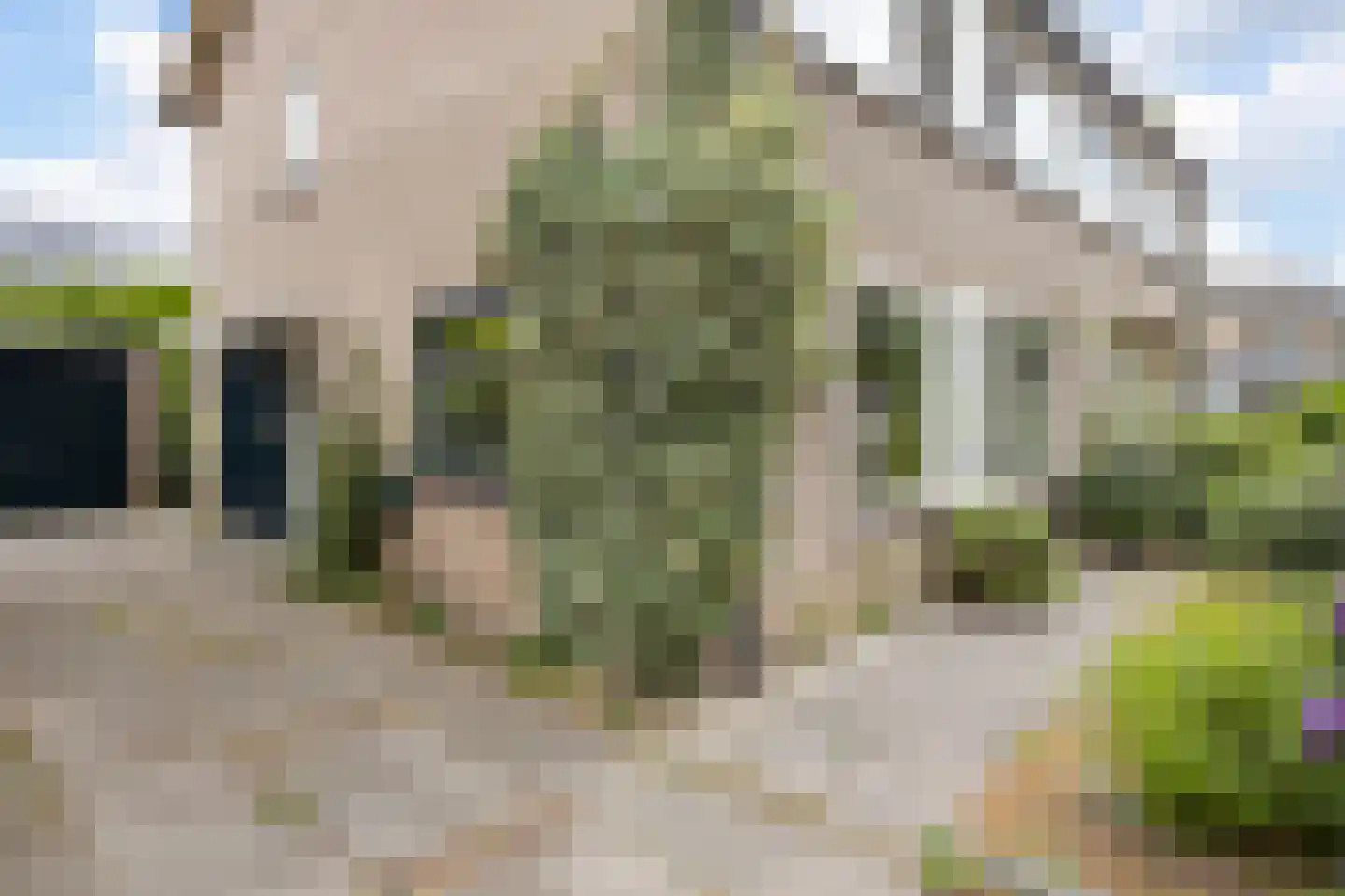 van der Wijckstraat 57 Raalte thumbnail 33