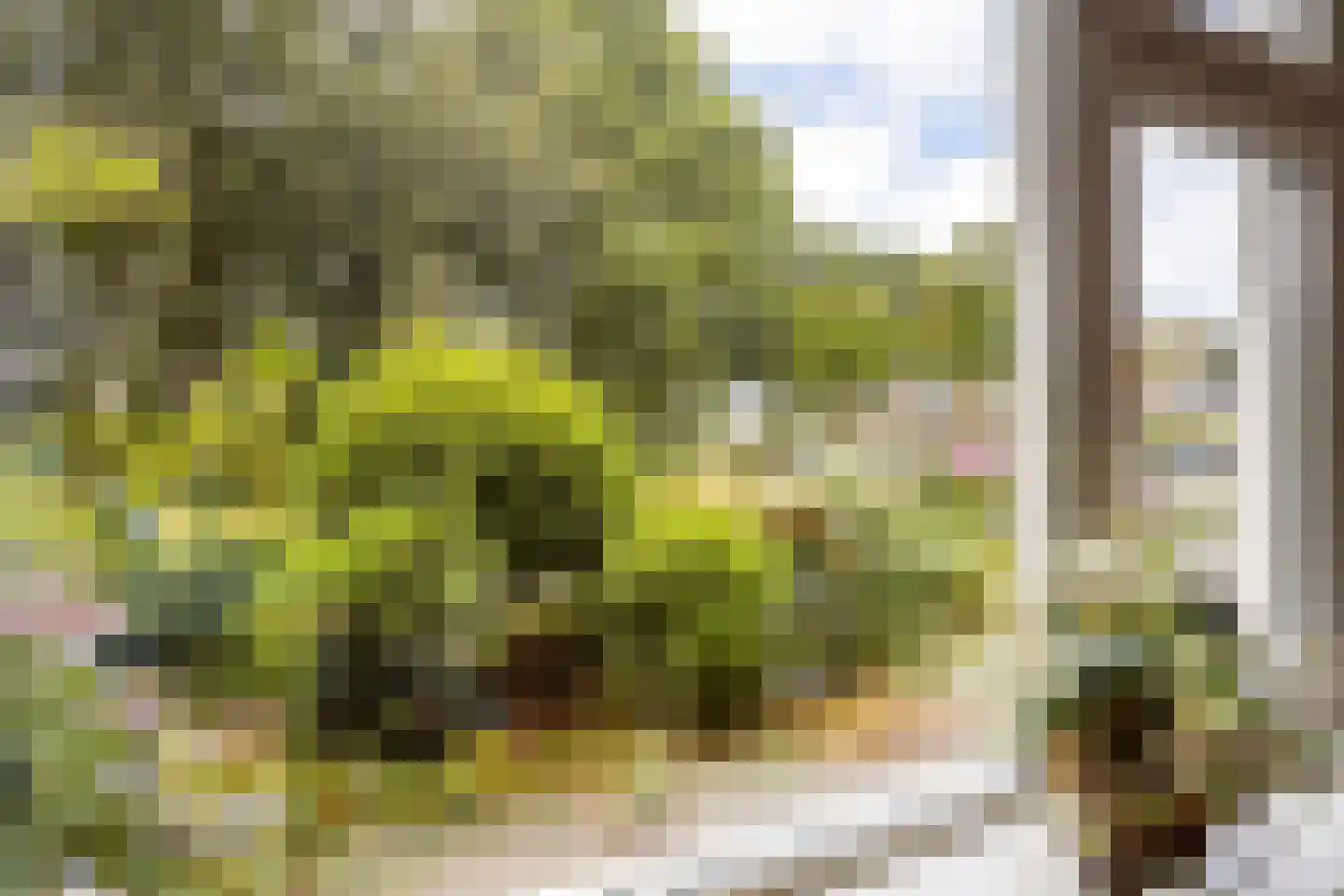 van der Wijckstraat 57 Raalte thumbnail 5
