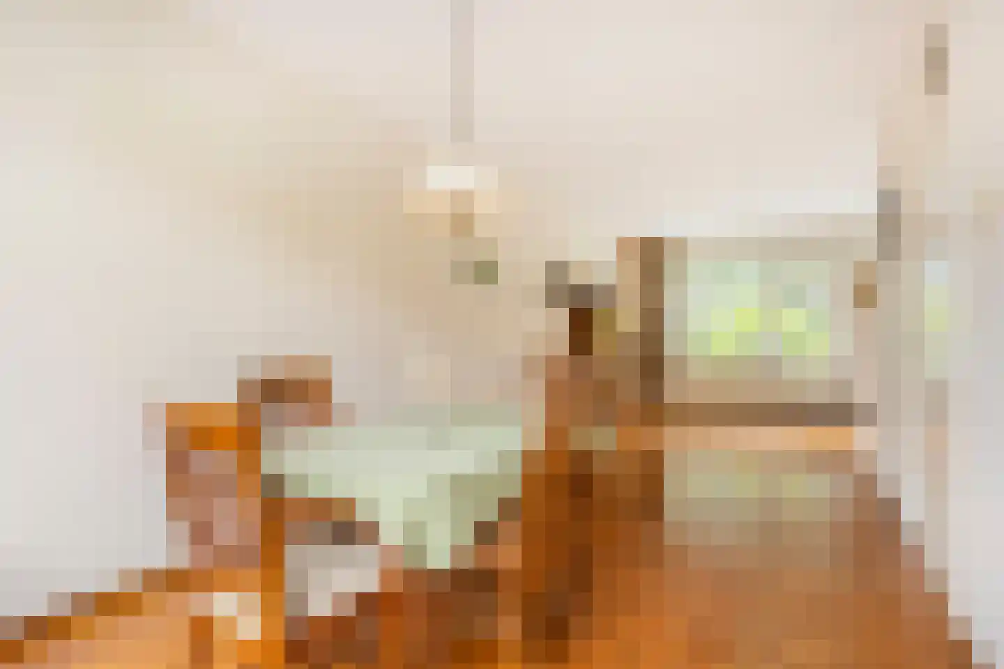 van der Wijckstraat 57 Raalte thumbnail 8