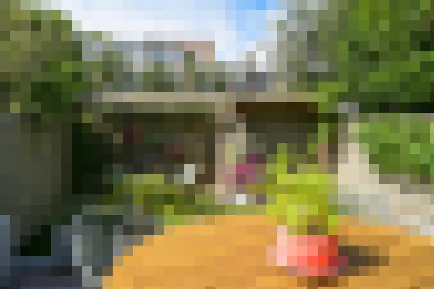 Van der Woertstraat 34 Den Haag thumbnail 16