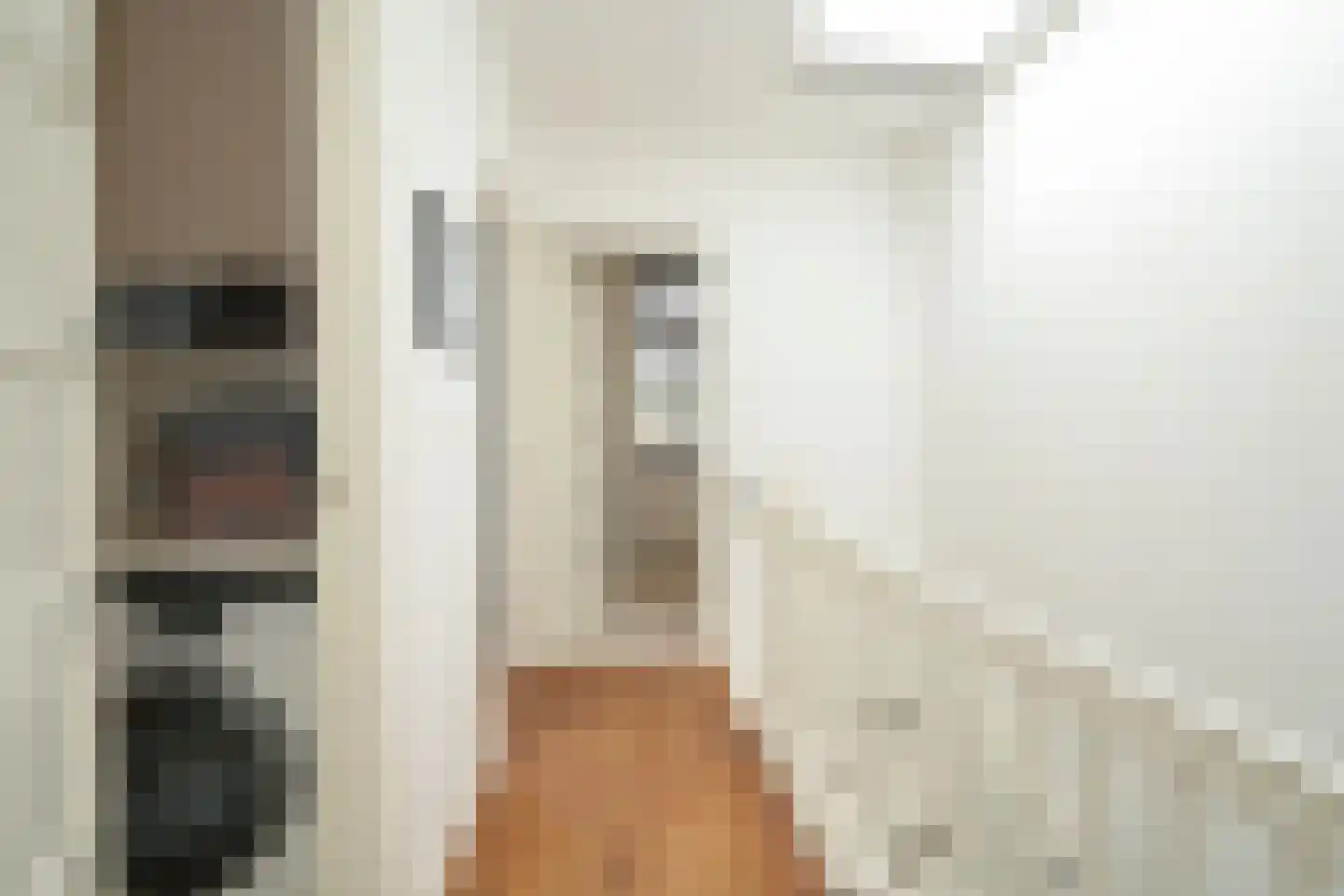 Van der Woertstraat 34 Den Haag thumbnail 33