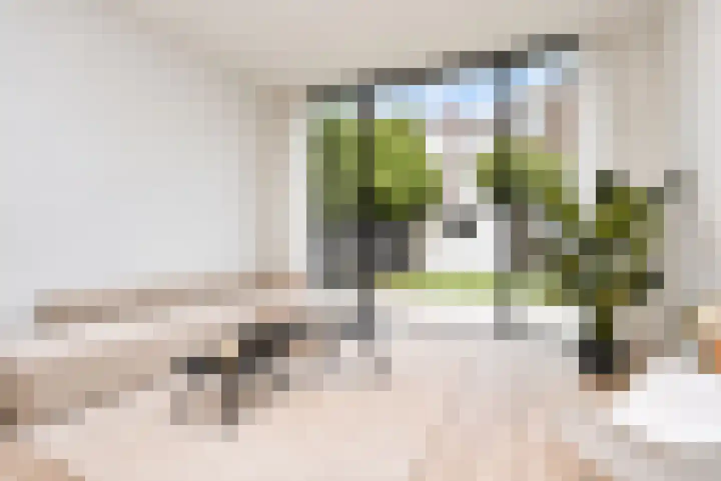 Van der Woertstraat 49 Den Haag thumbnail 13