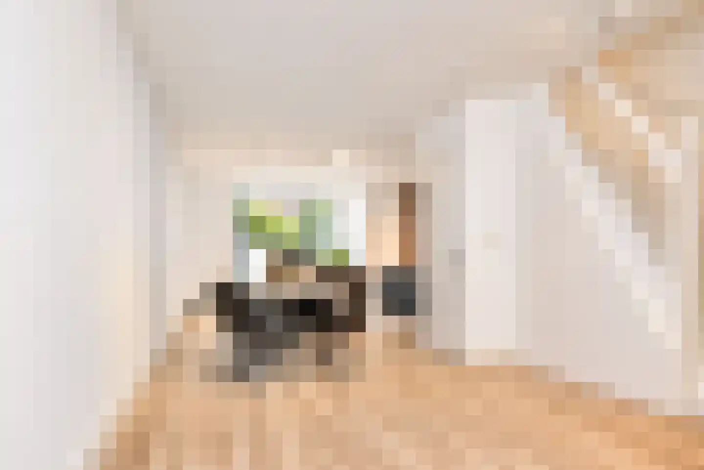 Van der Woertstraat 49 Den Haag thumbnail 18
