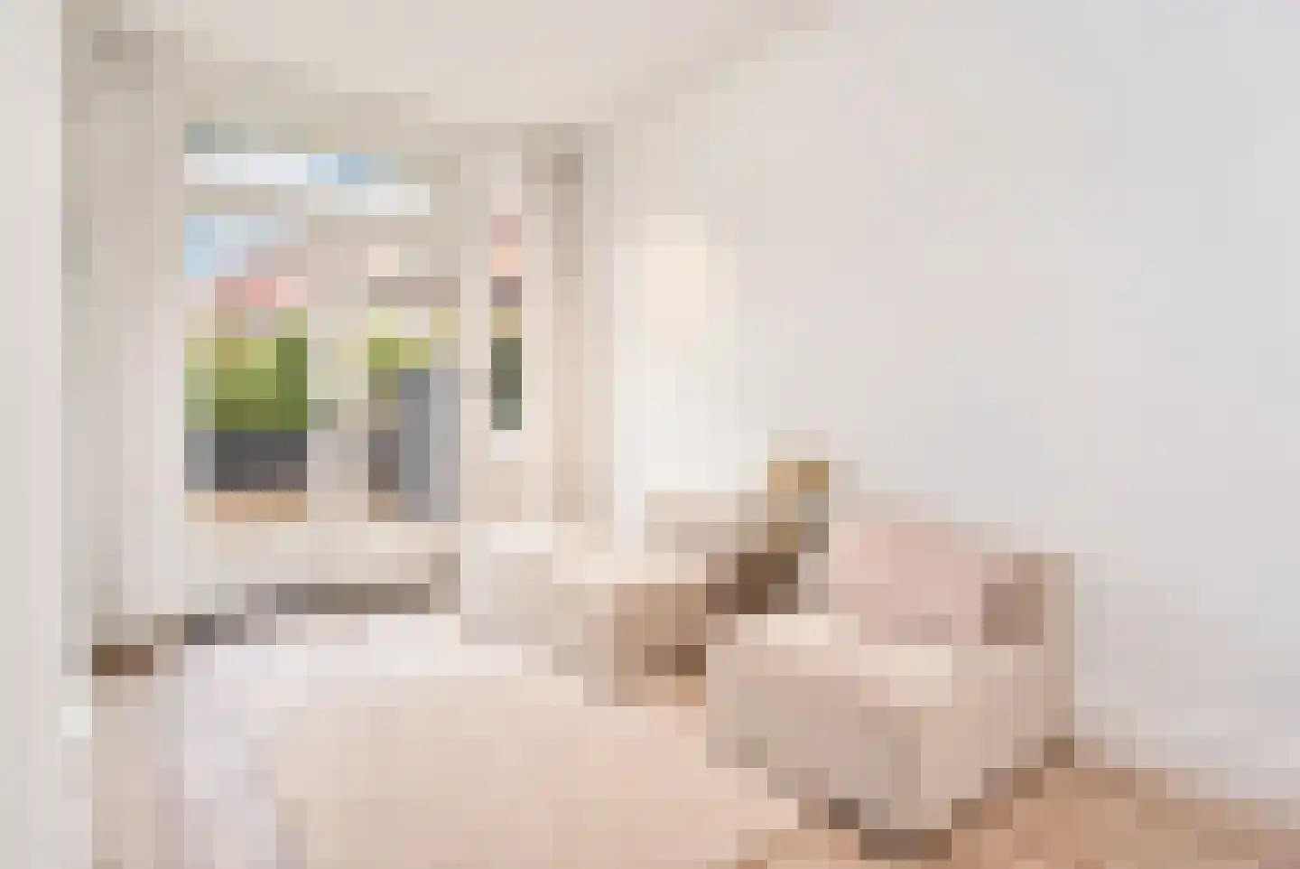 Van der Woertstraat 49 Den Haag thumbnail 21