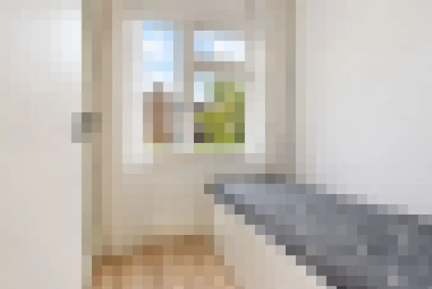 Van der Woertstraat 49 Den Haag thumbnail 35