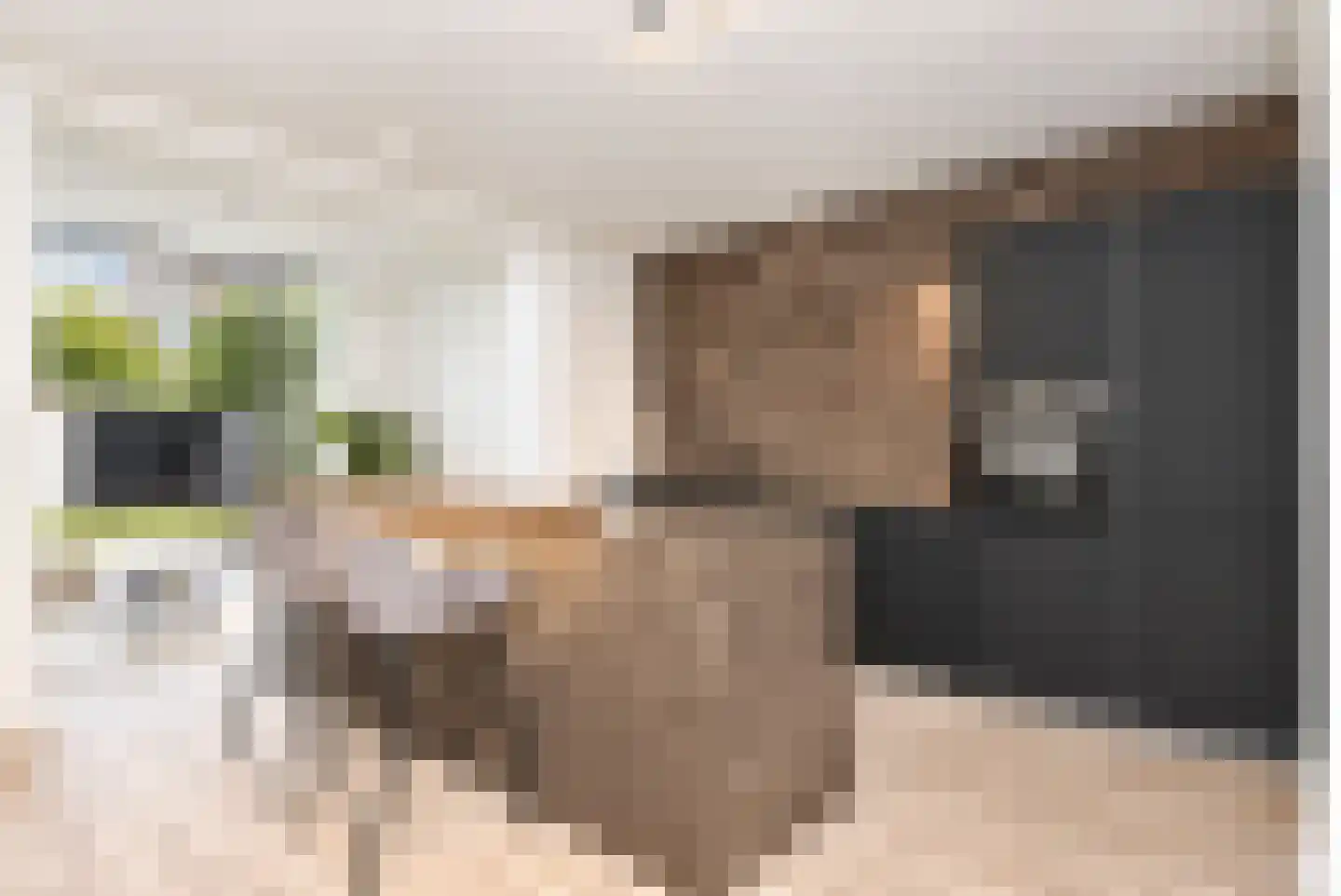 Van der Woertstraat 49 Den Haag thumbnail 7