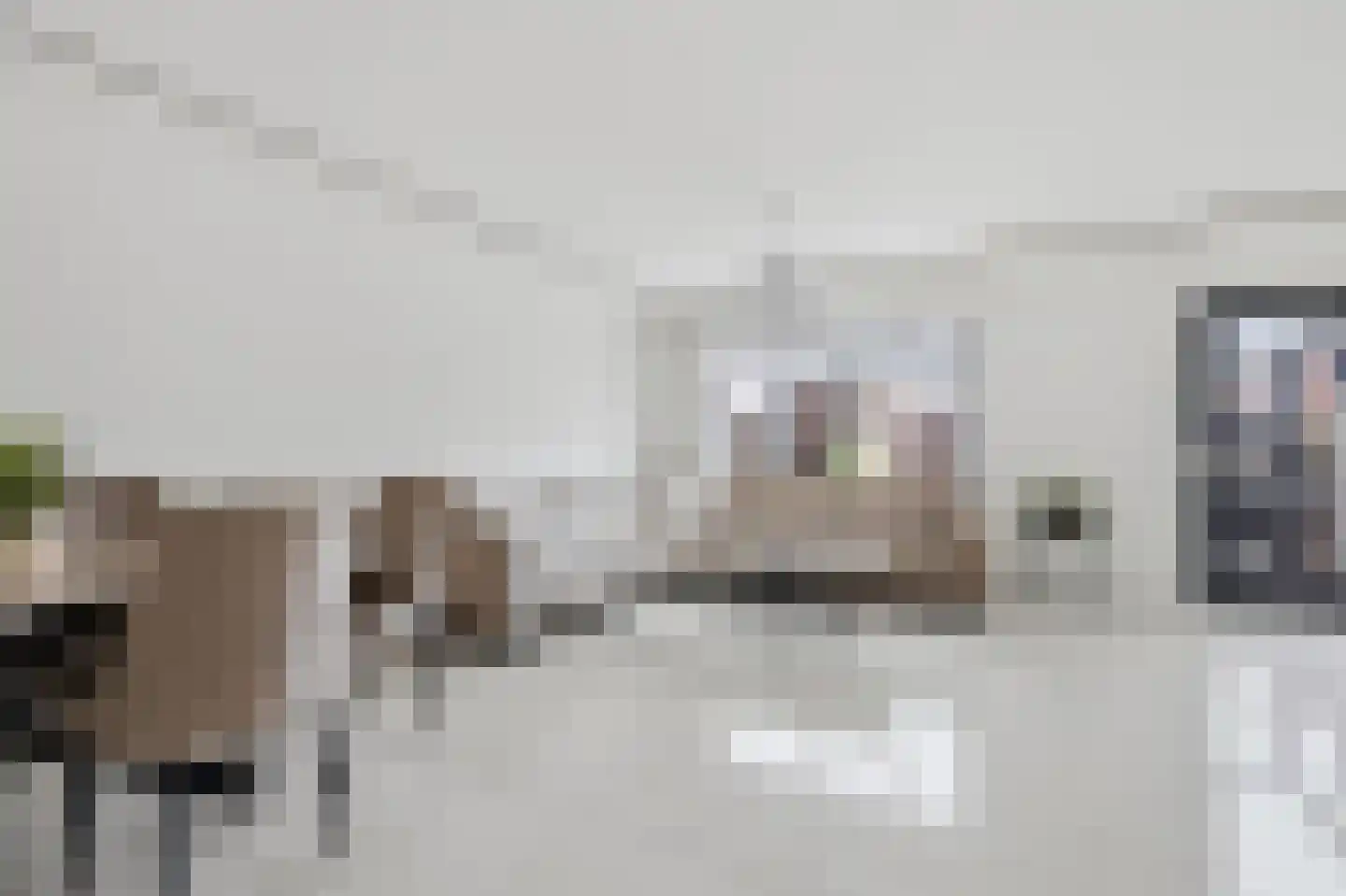 Van der Woudendijk 59 Den Haag thumbnail 8