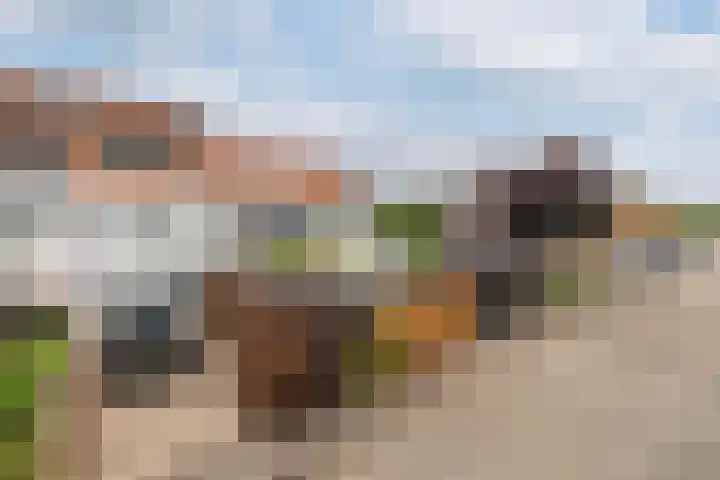 Van der Woudendijk 67 Den Haag thumbnail 25