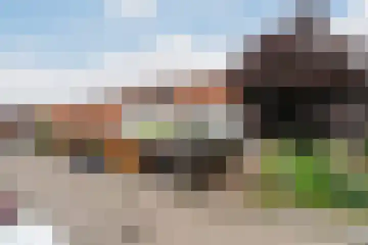 Van der Woudendijk 67 Den Haag thumbnail 27