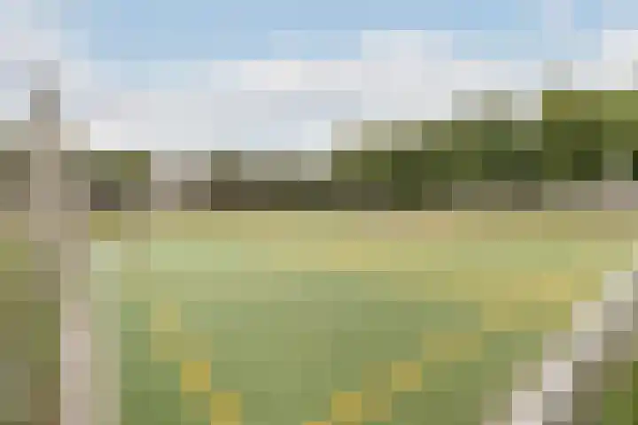 Van der Woudendijk 67 Den Haag thumbnail 29