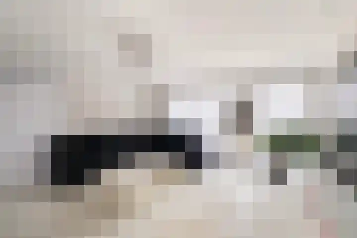 Van der Woudendijk 67 Den Haag thumbnail 4