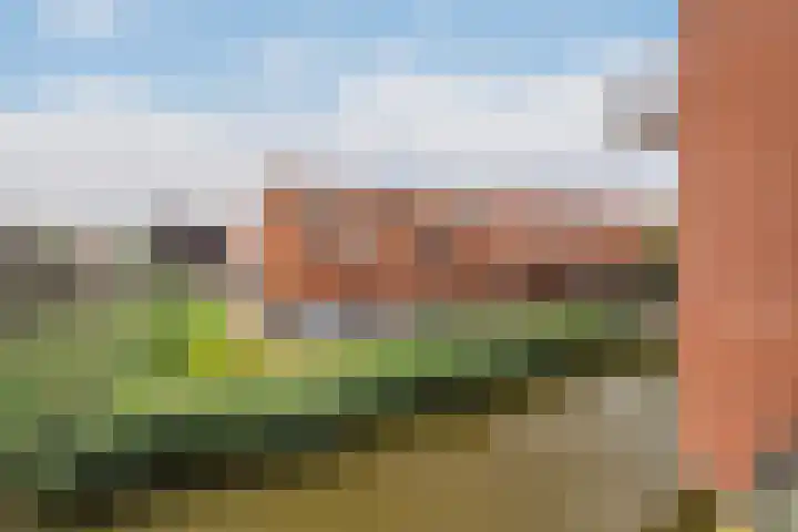 Van der Woudendijk 67 Den Haag thumbnail 40