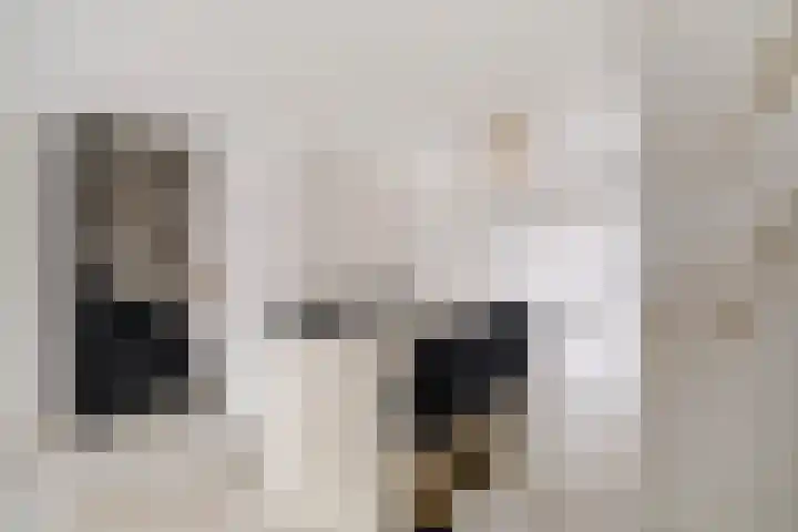 Van der Woudendijk 67 Den Haag thumbnail 6