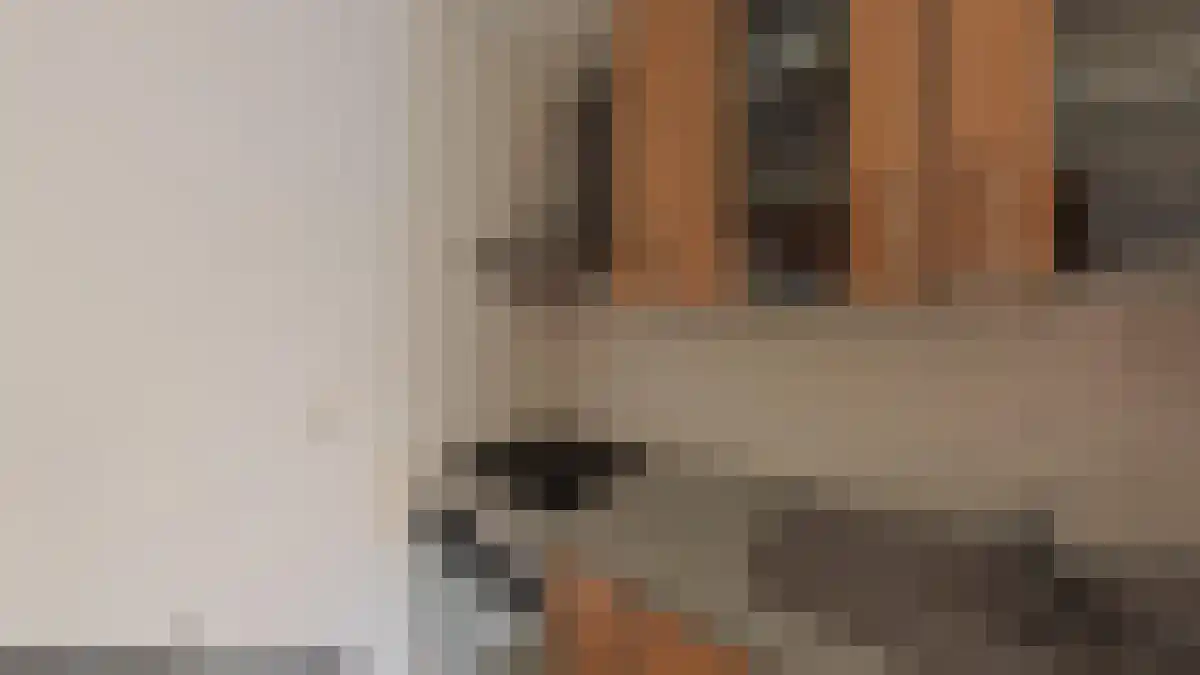 Van der Woudendijk Den Haag thumbnail 4