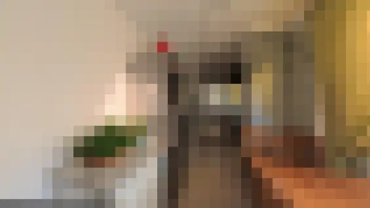 Van der Woudendijk Den Haag thumbnail 6