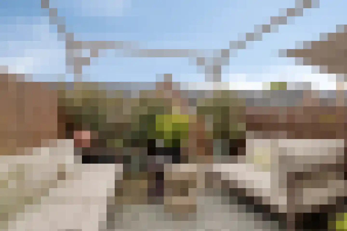 Van der Woudestraat 25 B Alkmaar thumbnail 10
