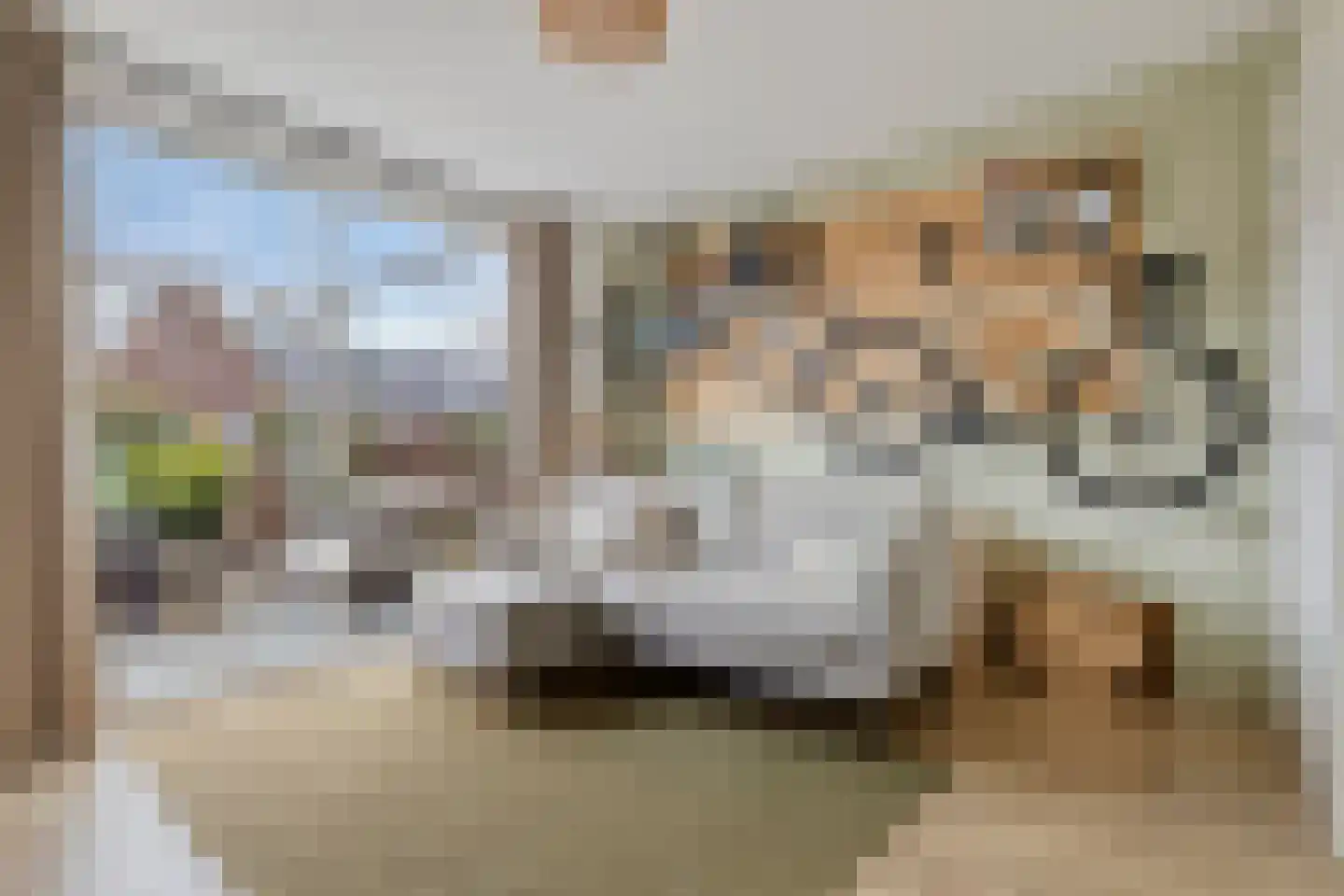 Van der Woudestraat 25 B Alkmaar thumbnail 6