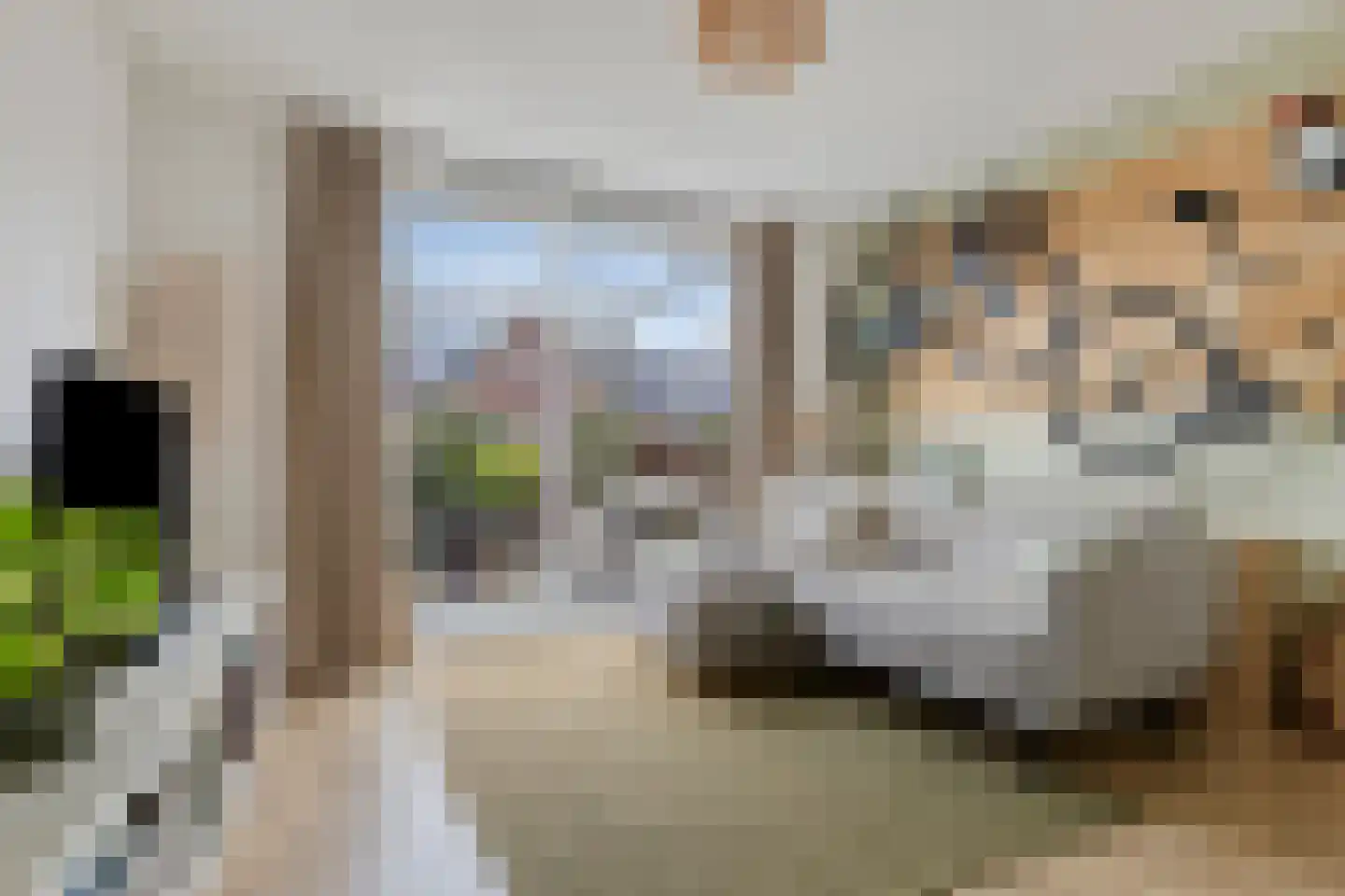 Van der Woudestraat 25 B Alkmaar thumbnail 8