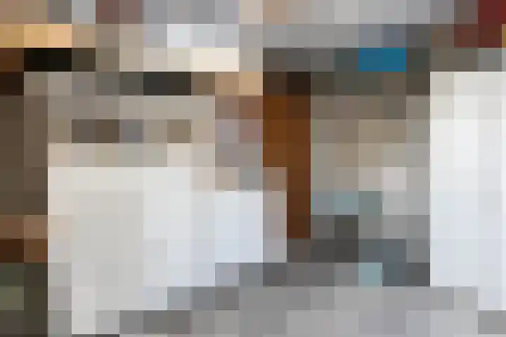 Van der Woudestraat 55 Alkmaar thumbnail 18