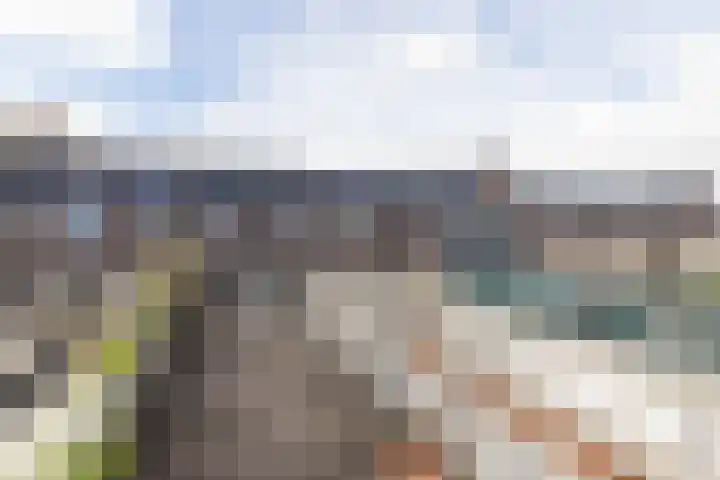 Van der Woudestraat 55 Alkmaar thumbnail 34