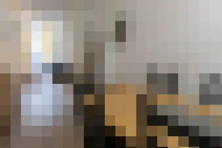 Van der Woudestraat 55 Alkmaar thumbnail 6