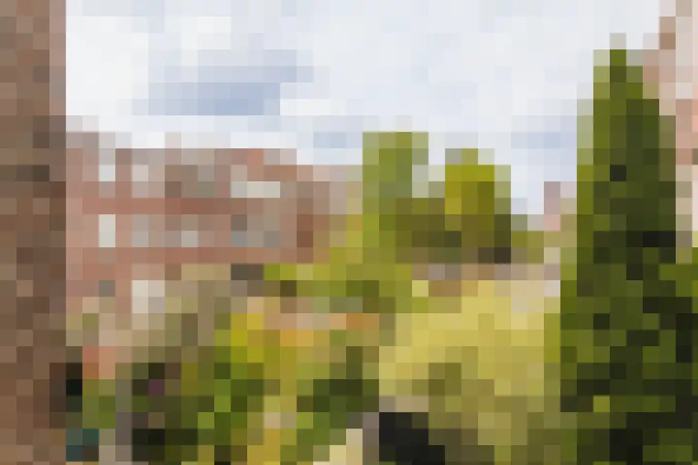 Van der Wyckstraat 39 Den Haag thumbnail 16