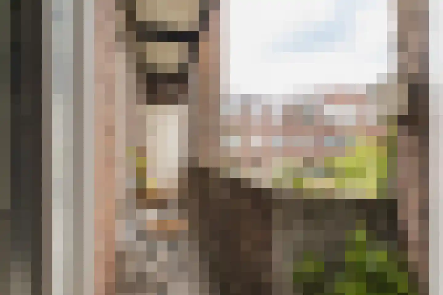Van der Wyckstraat 39 Den Haag thumbnail 4
