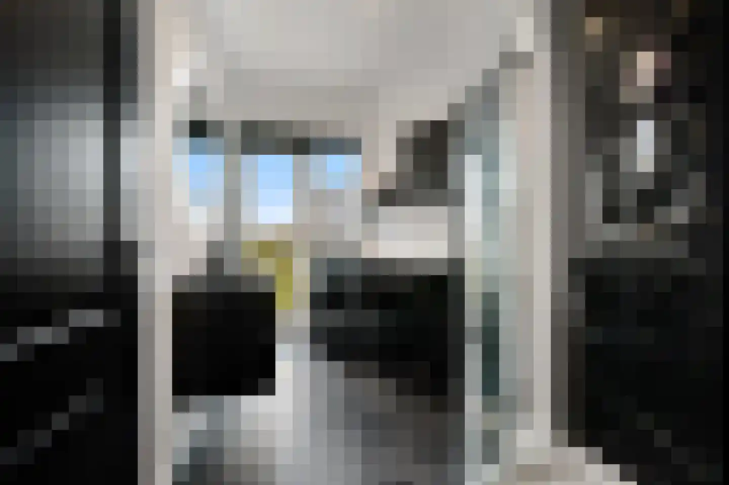 Van der Wyckstraat 8 Den Haag thumbnail 19