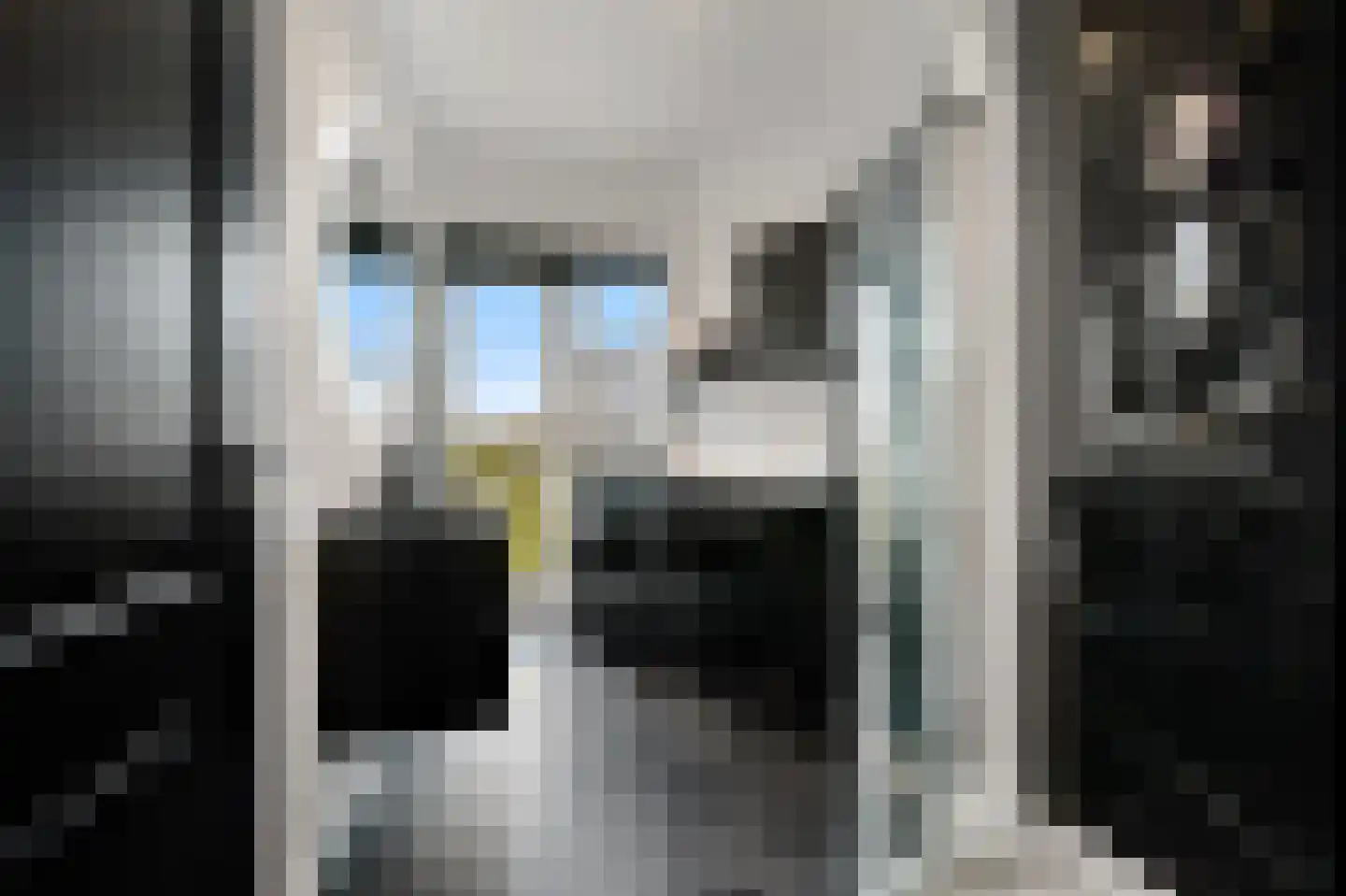 Van der Wyckstraat 8 Den Haag thumbnail 4