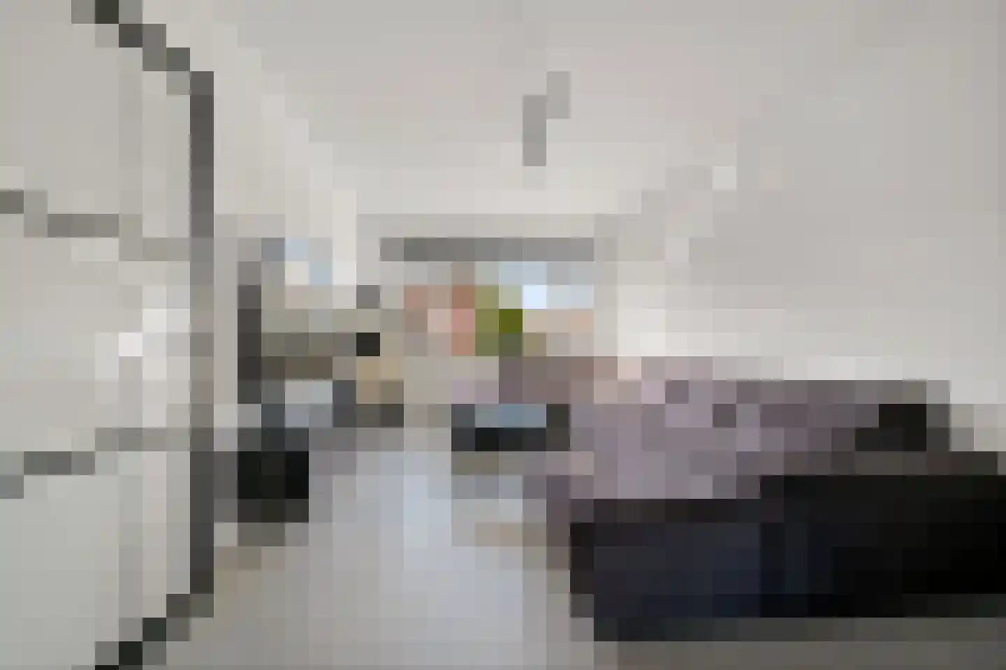 Van der Wyckstraat 8 Den Haag thumbnail 8