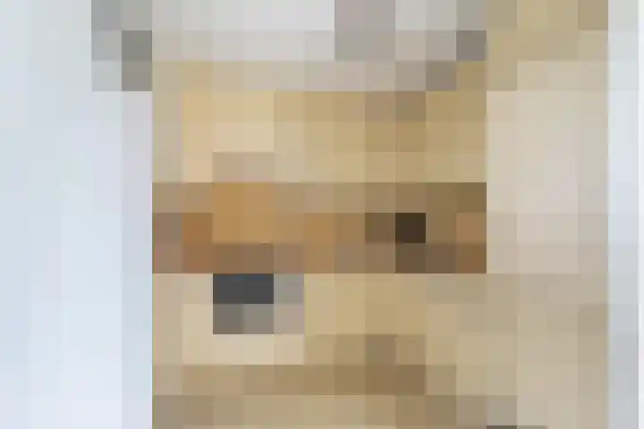 Van der Zaaghof 26 Nijkerk thumbnail 13