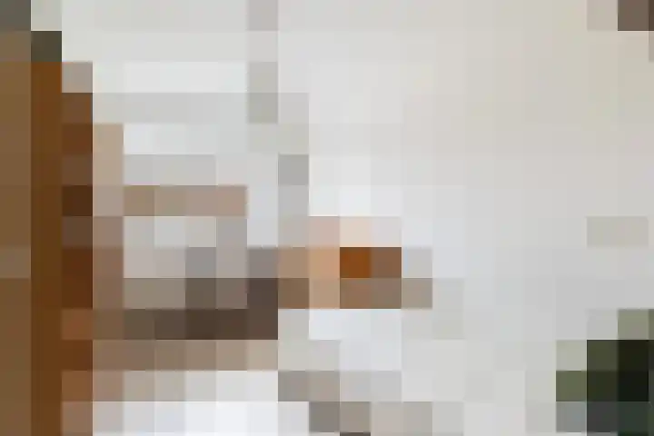 Van der Zaaghof 26 Nijkerk thumbnail 15