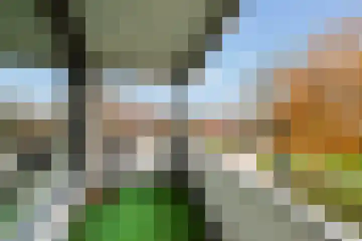 Van der Zaaghof 26 Nijkerk thumbnail 21