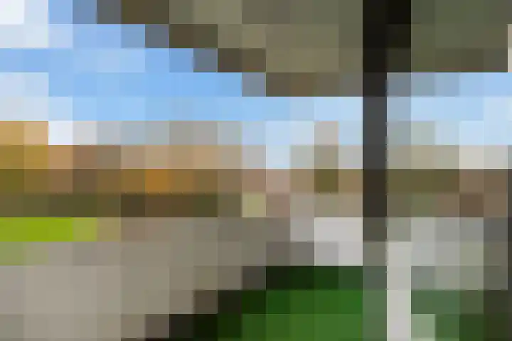 Van der Zaaghof 26 Nijkerk thumbnail 22