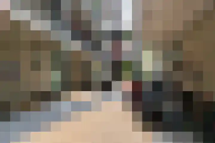 Van der Zaaghof 26 Nijkerk thumbnail 23