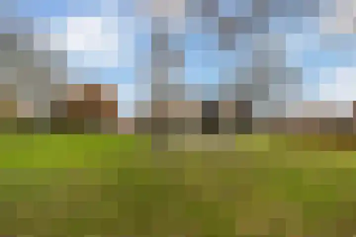 Van der Zaaghof 26 Nijkerk thumbnail 25