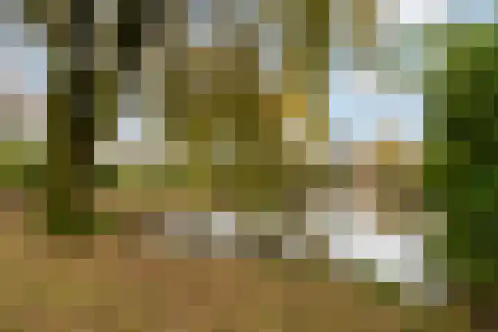 Van der Zaaghof 26 Nijkerk thumbnail 27