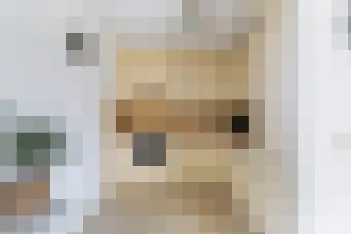 Van der Zaaghof 26 Nijkerk thumbnail 4