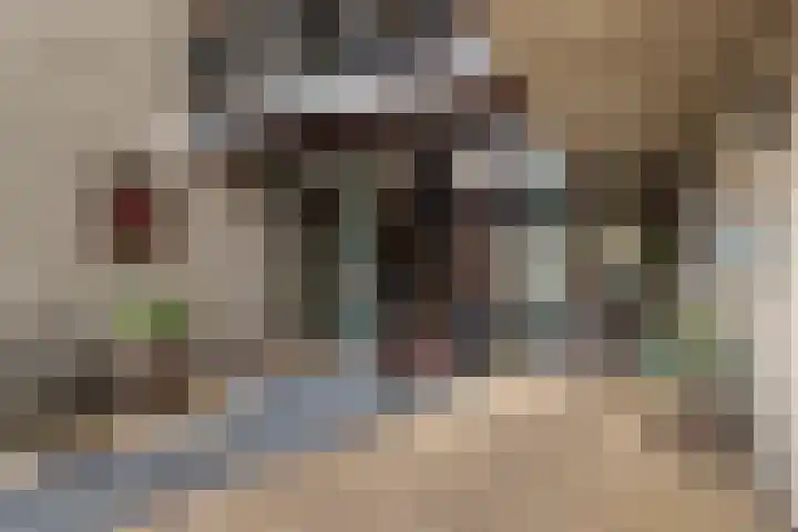 Van der Zaaghof 26 Nijkerk thumbnail 5