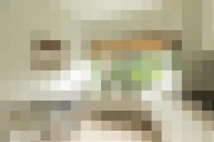 Van der Zaenlaan 10 Hilversum thumbnail 11