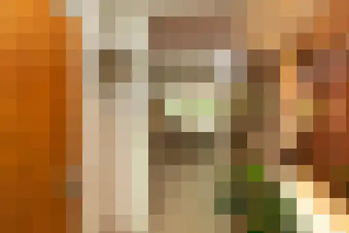 Van der Zaenlaan 10 Hilversum thumbnail 13