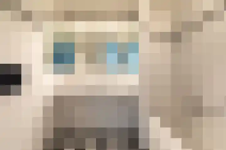 Van der Zaenlaan 10 Hilversum thumbnail 18