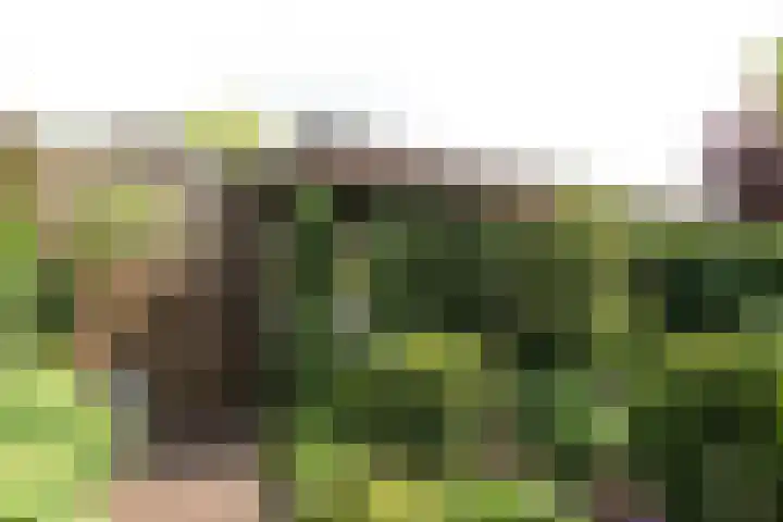 Van der Zaenlaan 10 Hilversum thumbnail 27