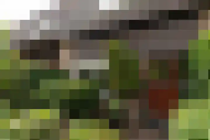 Van der Zaenlaan 10 Hilversum thumbnail 28