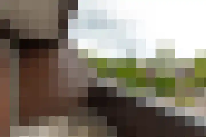 Van der Zaenlaan 10 Hilversum thumbnail 29