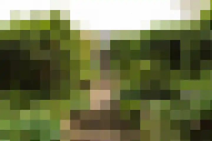 Van der Zaenlaan 10 Hilversum thumbnail 30