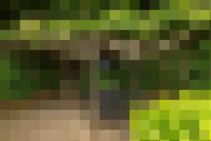 Van der Zaenlaan 10 Hilversum thumbnail 31
