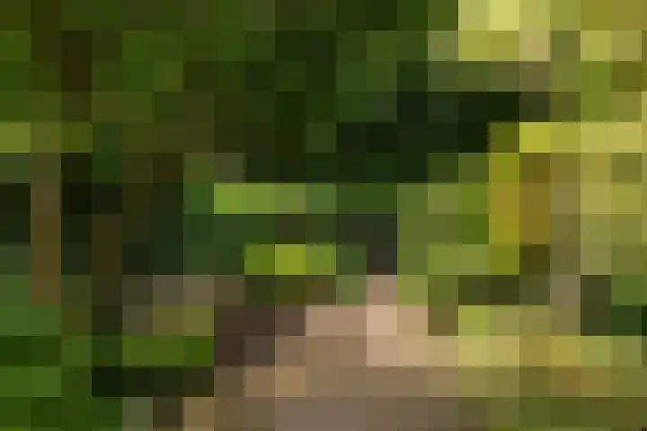 Van der Zaenlaan 10 Hilversum thumbnail 32